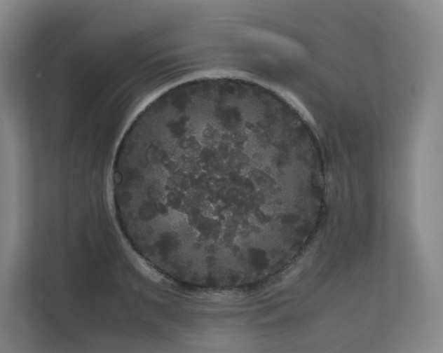 X0000111120895200906301308
