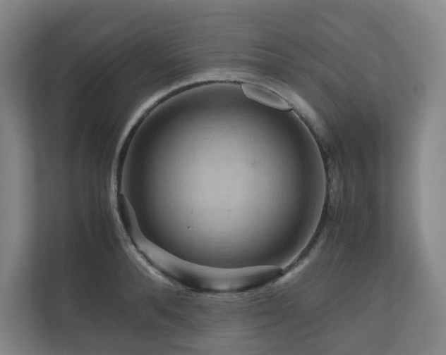 X0000111120896200906301308