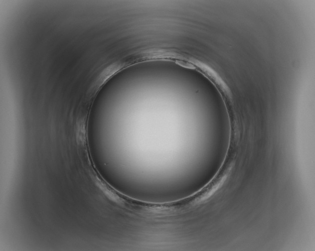 X0000111120897200906301308
