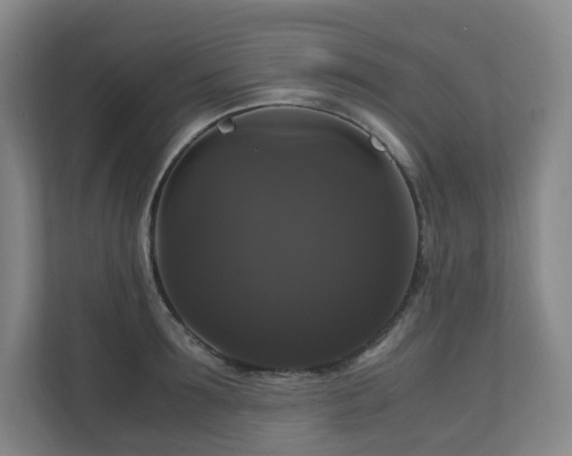 X0000111120899200906301308