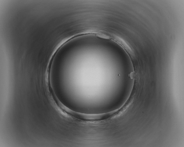X0000111120900200906301308