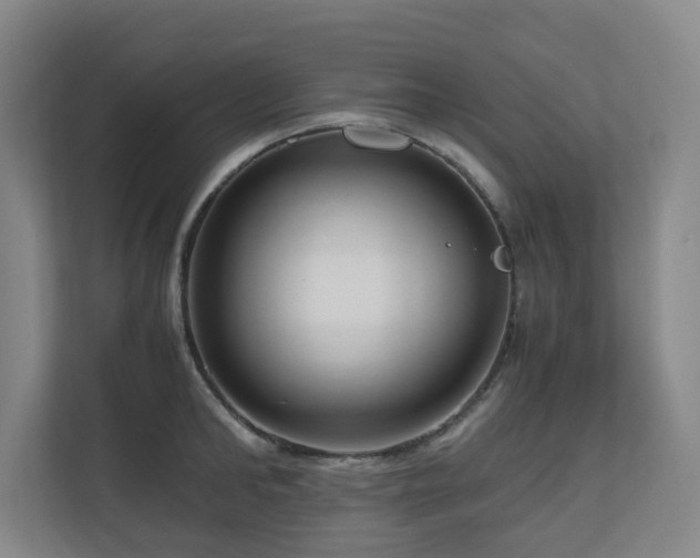 X0000111120902200906301308