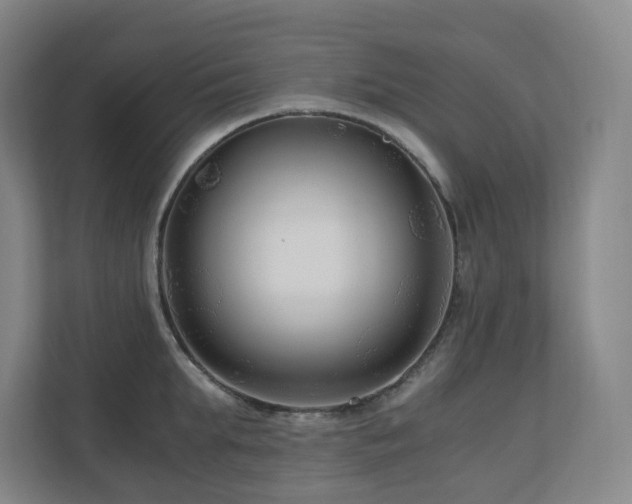 X0000111120903200906301308