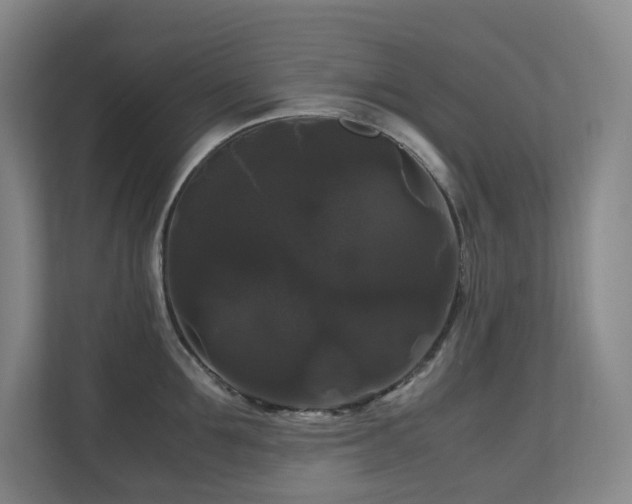 X0000111120907200906301308