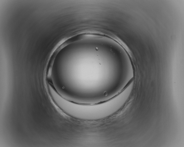 X0000111120909200906301308