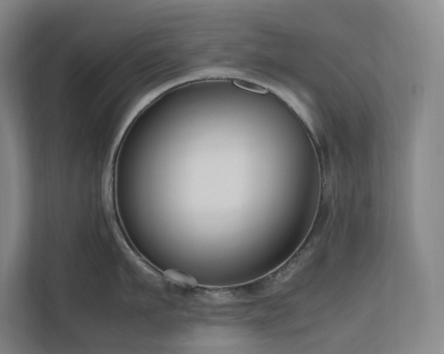 X0000111120911200906301308