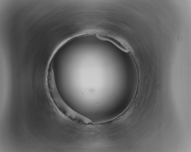 X0000111120912200906301308