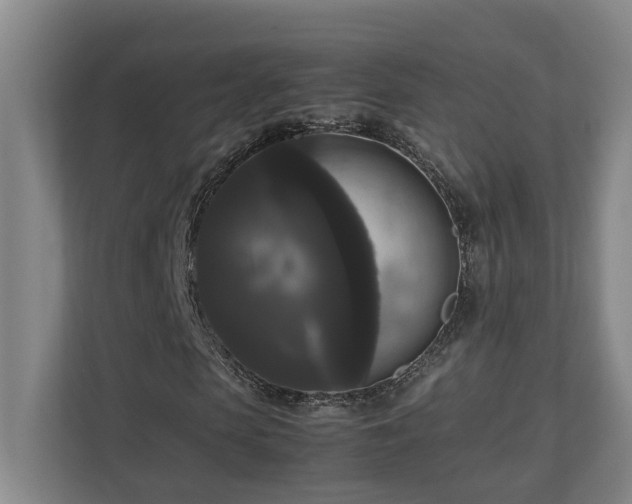 X0000111120913200906301307