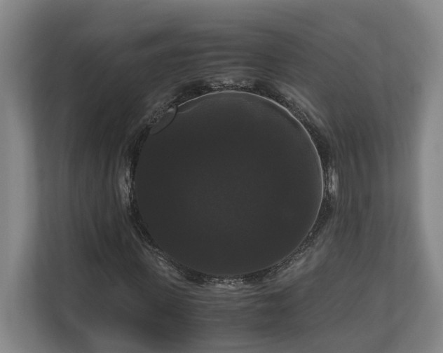 X0000111120915200906301307