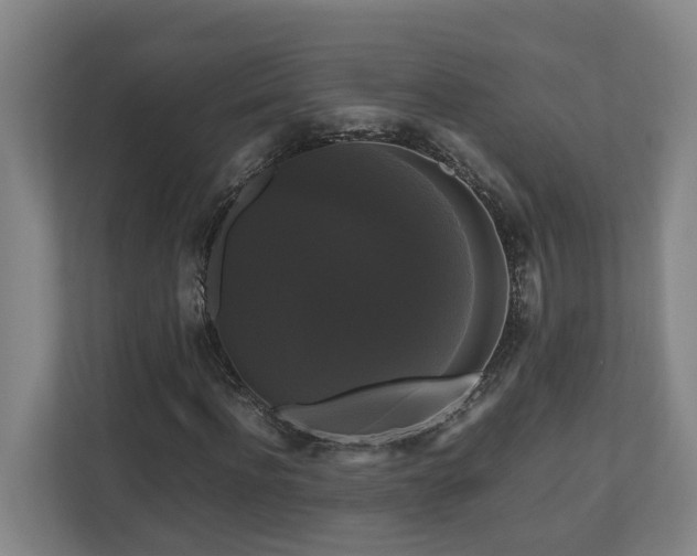 X0000111120916200906301307