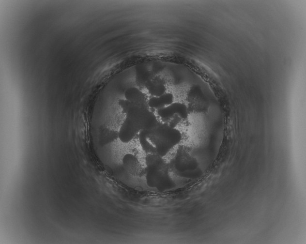 X0000111120917200906301307
