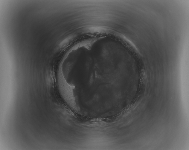 X0000111120918200906301307