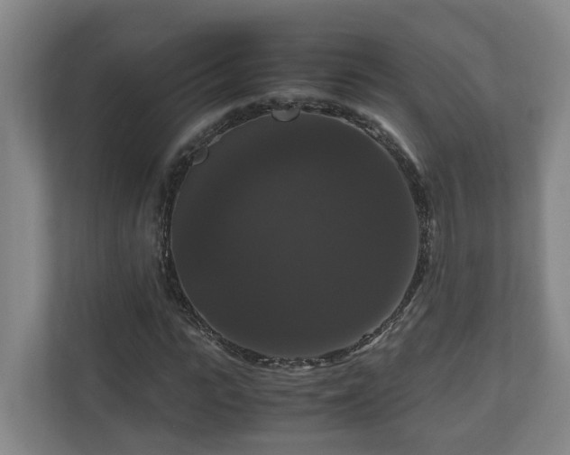 X0000111120919200906301307