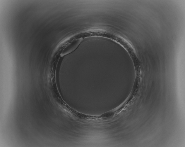 X0000111120920200906301307