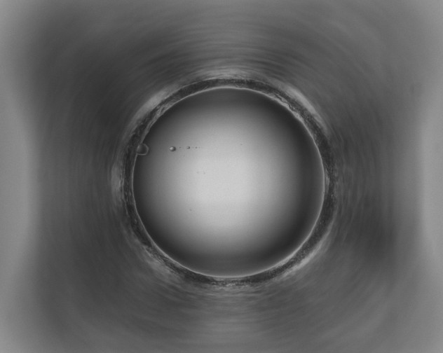 X0000111120922200906301307