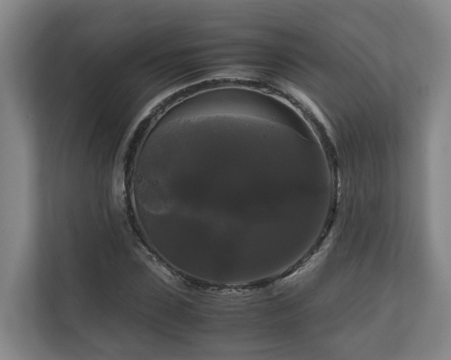 X0000111120923200906301307