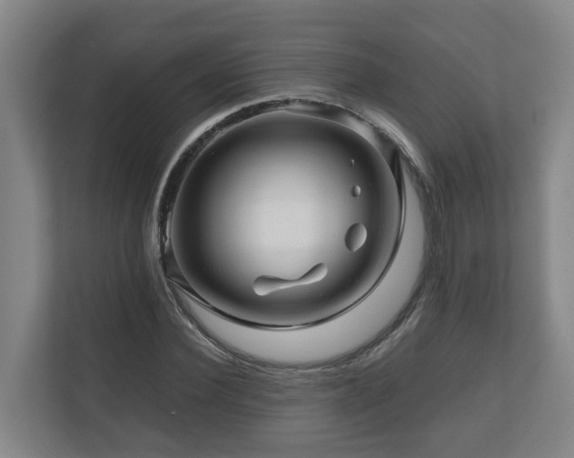 X0000111120924200906301307