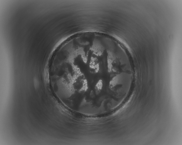 X0000111120925200906301307