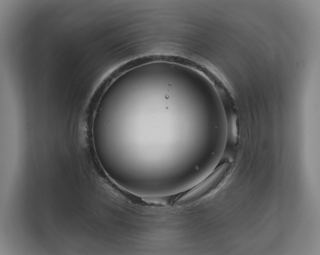 X0000111120926200906301307