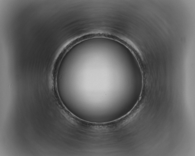 X0000111120927200906301307