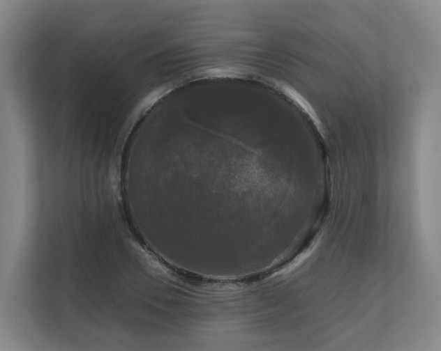 X0000111120930200906301307