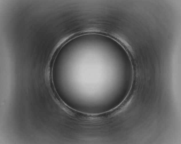 X0000111120933200906301308