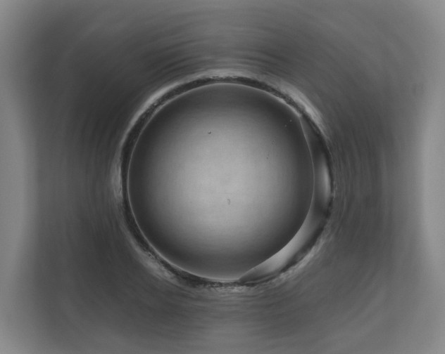 X0000111120934200906301308
