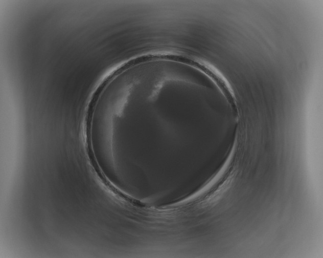 X0000111120935200906301308