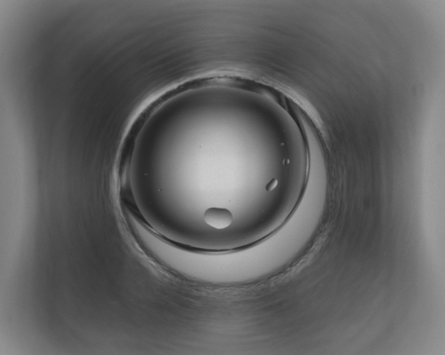 X0000111120936200906301308