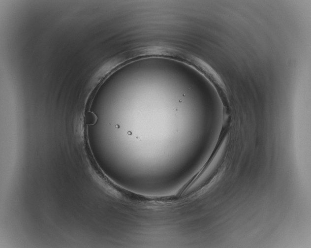 X0000111120938200906301308