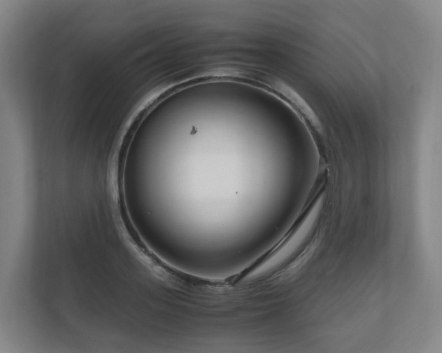 X0000111120939200906301308