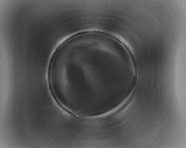 X0000111120943200906301308