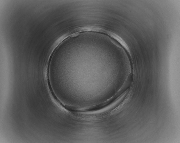 X0000111120946200906301308