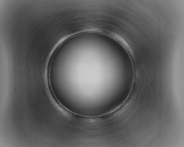 X0000111120947200906301308