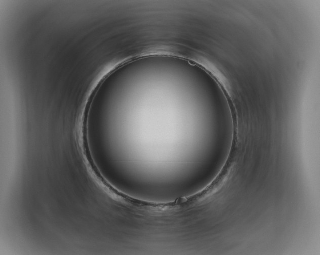 X0000111120949200906301308