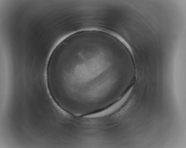 X0000111120951200906301308