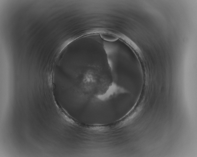 X0000111120953200906301308