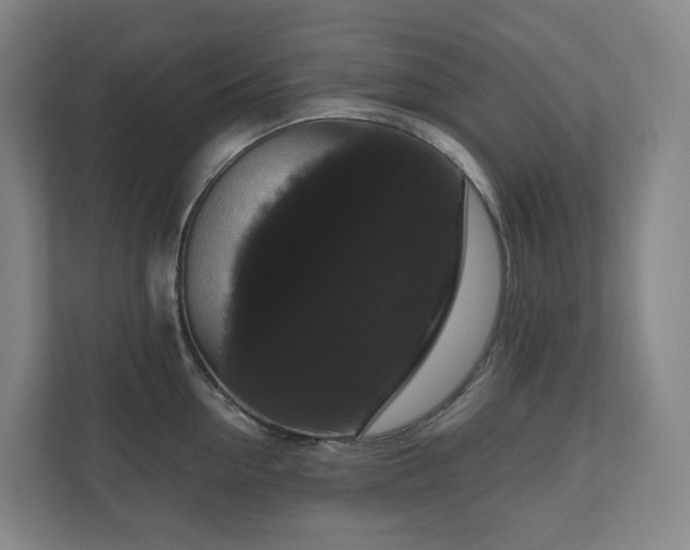 X0000111120954200906301308
