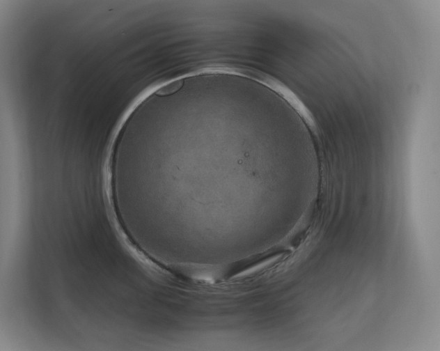 X0000111120955200906301308