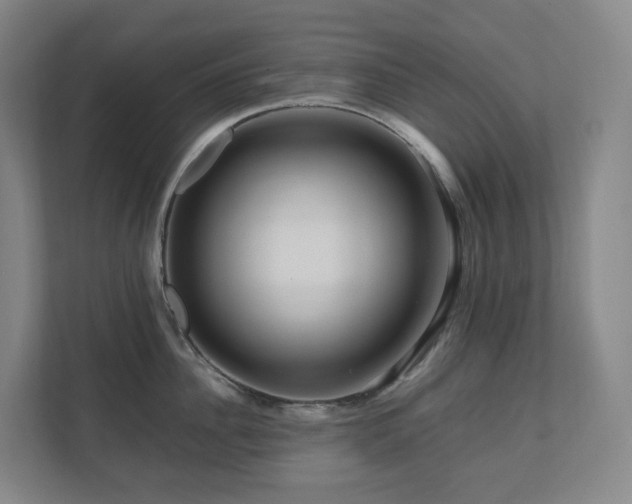 X0000111120956200906301308