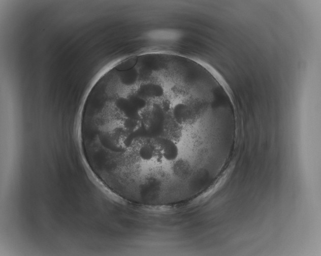 X0000111120957200906301308