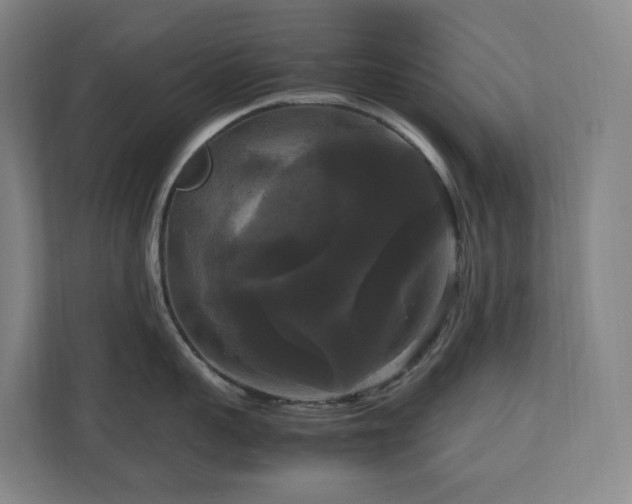 X0000111120959200906301308