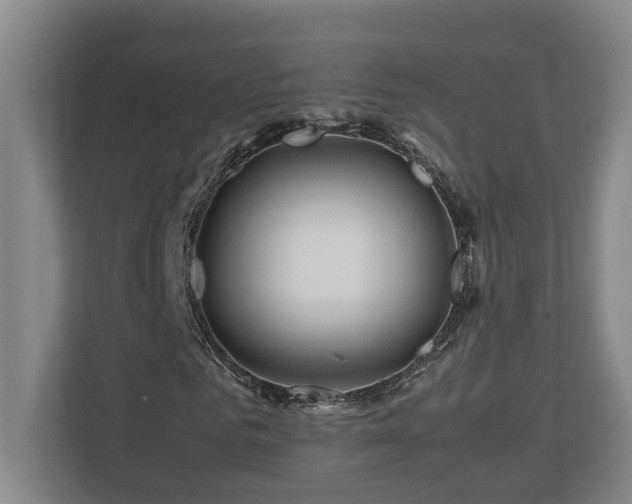 X0000111120961200906301307