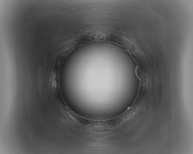X0000111120962200906301307