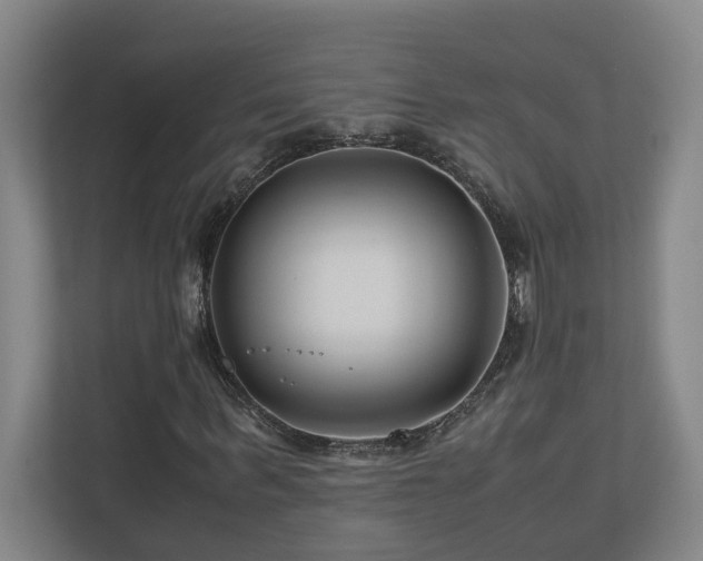 X0000111120963200906301307