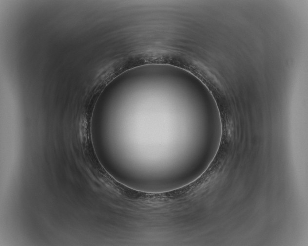 X0000111120964200906301307