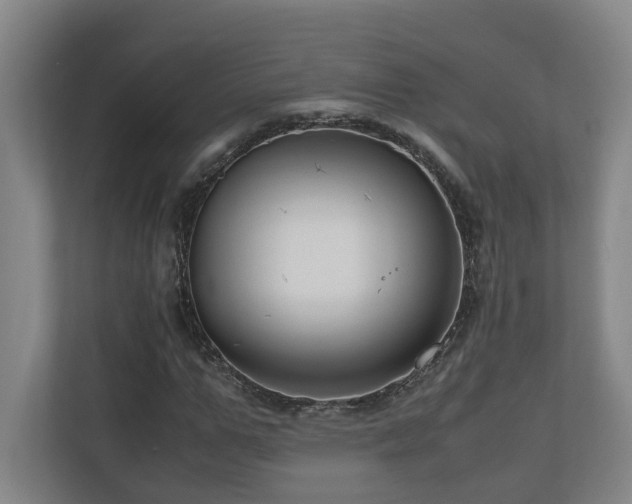 X0000111120967200906301307