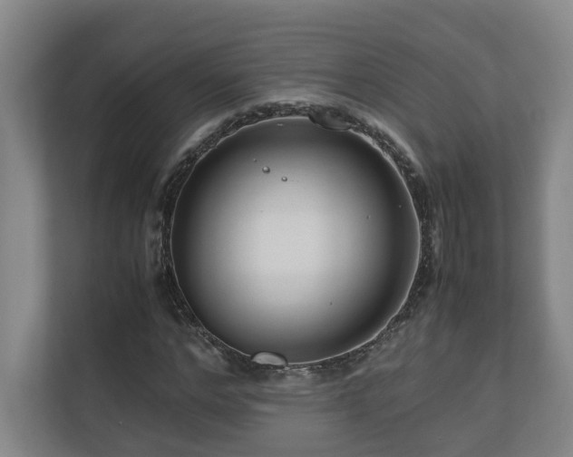 X0000111120968200906301307