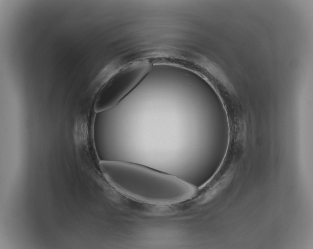 X0000111120969200906301307