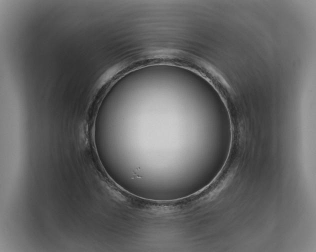 X0000111120970200906301307